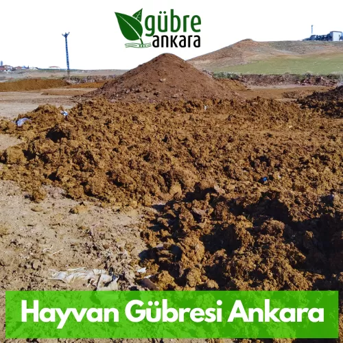 Ankara Hayvan Gübresi