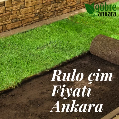 Ankara Rulo Çim Fiyatı