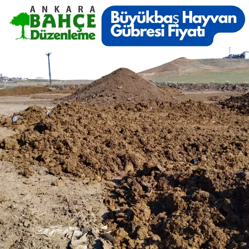 Büyükbaş Hayvan Gübresi Fiyatı