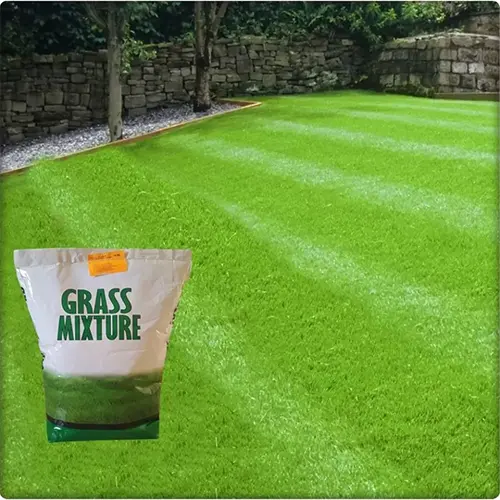 Grass Mixture 6'lı Karışım Çim Tohumu 10 Kg